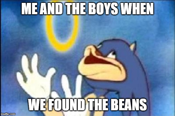 Sonic derp | ME AND THE BOYS WHEN; WE FOUND THE BEANS | image tagged in sonic derp | made w/ Imgflip meme maker