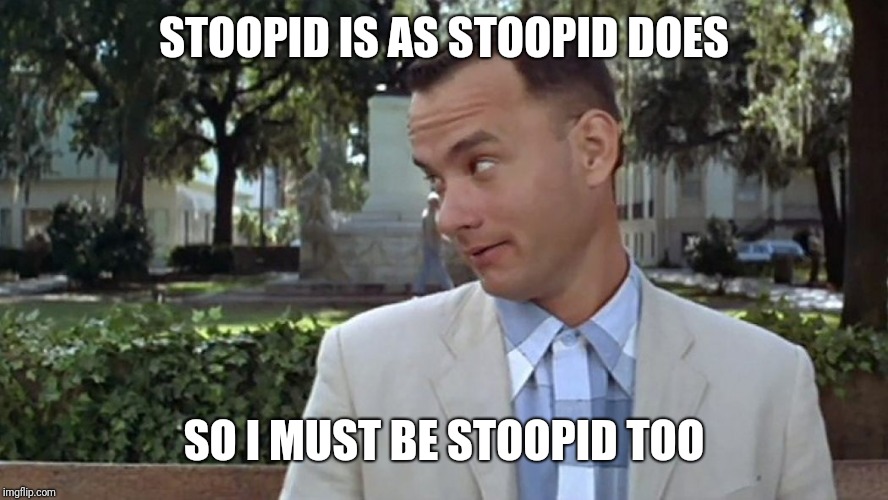 Forrest Gump Face | STOOPID IS AS STOOPID DOES SO I MUST BE STOOPID TOO | image tagged in forrest gump face | made w/ Imgflip meme maker