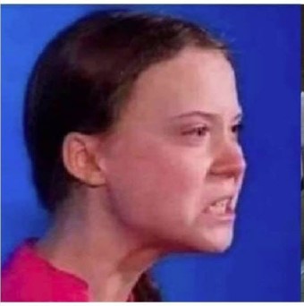 GRETA POO Blank Meme Template