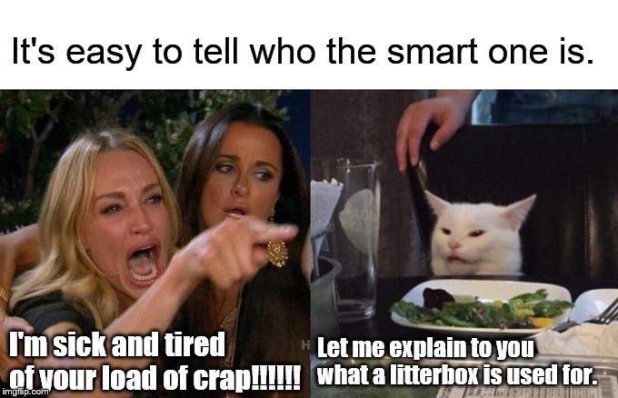 Woman Yelling At Cat | It's easy to tell who the smart one is. I'm sick and tired of your load of crap!!!!!! Let me explain to you what a litterbox is used for. | image tagged in memes,woman yelling at cat | made w/ Imgflip meme maker