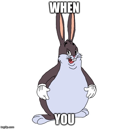 WHEN; YOU | image tagged in big chungus | made w/ Imgflip meme maker