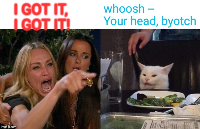 Woman Yelling At Cat Meme | I GOT IT, I GOT IT! whoosh --
Your head, byotch | image tagged in memes,woman yelling at cat | made w/ Imgflip meme maker