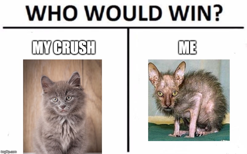 Who Would Win? | MY CRUSH; ME | image tagged in memes,who would win | made w/ Imgflip meme maker