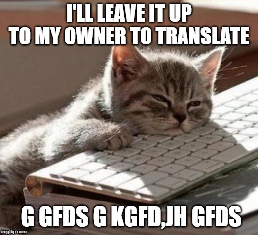 tired cat | I'LL LEAVE IT UP TO MY OWNER TO TRANSLATE; G GFDS G KGFD,JH GFDS | image tagged in tired cat | made w/ Imgflip meme maker