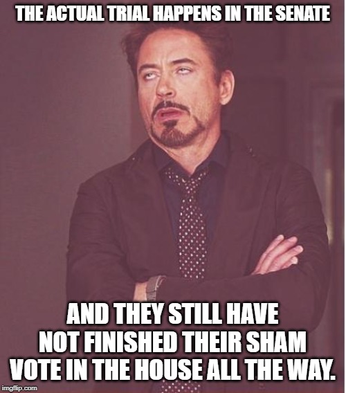 Face You Make Robert Downey Jr Meme | THE ACTUAL TRIAL HAPPENS IN THE SENATE AND THEY STILL HAVE NOT FINISHED THEIR SHAM VOTE IN THE HOUSE ALL THE WAY. | image tagged in memes,face you make robert downey jr | made w/ Imgflip meme maker