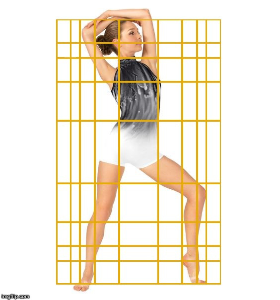 A sexy woman stretching her leg out in the Golden Ratio. | image tagged in the golden ratio,the human body,pose,photography,geometry,sext woman | made w/ Imgflip meme maker
