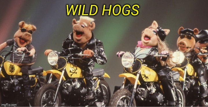 WILD HOGS | made w/ Imgflip meme maker