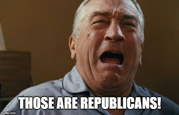 deniro crying | THOSE ARE REPUBLICANS! | image tagged in deniro crying | made w/ Imgflip meme maker
