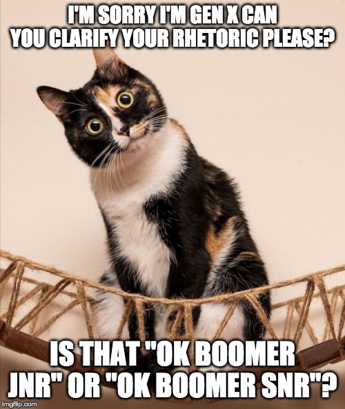 OK Boomer Jnr and Snr | I'M SORRY I'M GEN X CAN YOU CLARIFY YOUR RHETORIC PLEASE? IS THAT "OK BOOMER JNR" OR "OK BOOMER SNR"? | image tagged in ok boomer,funny cats,cats,lolcats | made w/ Imgflip meme maker