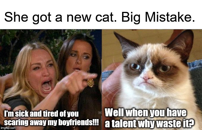 Woman Yelling At Cat | She got a new cat. Big Mistake. I'm sick and tired of you scaring away my boyfriends!!! Well when you have a talent why waste it? | image tagged in memes,woman yelling at cat | made w/ Imgflip meme maker