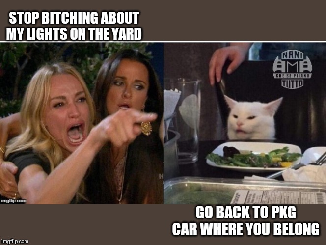 white cat table | STOP BITCHING ABOUT MY LIGHTS ON THE YARD; GO BACK TO PKG CAR WHERE YOU BELONG | image tagged in white cat table | made w/ Imgflip meme maker