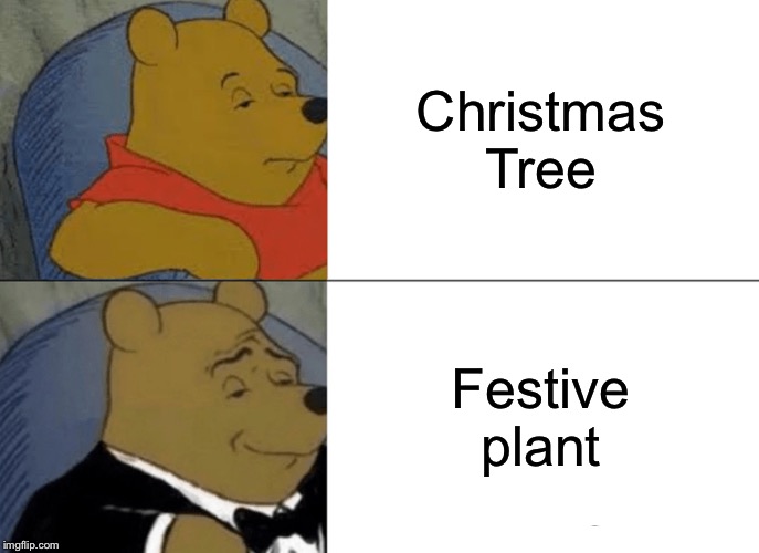 Tuxedo Winnie The Pooh | Christmas Tree; Festive plant | image tagged in memes,tuxedo winnie the pooh | made w/ Imgflip meme maker