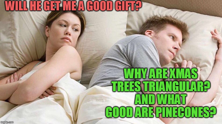 december couple | WILL HE GET ME A GOOD GIFT? WHY ARE XMAS TREES TRIANGULAR? AND WHAT GOOD ARE PINECONES? | image tagged in i bet he's thinking about other women,funny | made w/ Imgflip meme maker