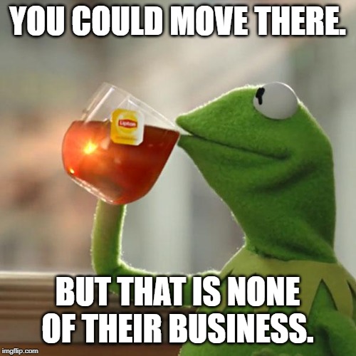 But That's None Of My Business Meme | YOU COULD MOVE THERE. BUT THAT IS NONE OF THEIR BUSINESS. | image tagged in memes,but thats none of my business,kermit the frog | made w/ Imgflip meme maker