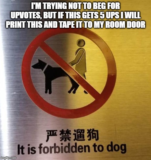In this room, it is forbidden to dog. | I'M TRYING NOT TO BEG FOR UPVOTES, BUT IF THIS GETS 5 UPS I WILL PRINT THIS AND TAPE IT TO MY ROOM DOOR | image tagged in it is forbidden to dog | made w/ Imgflip meme maker