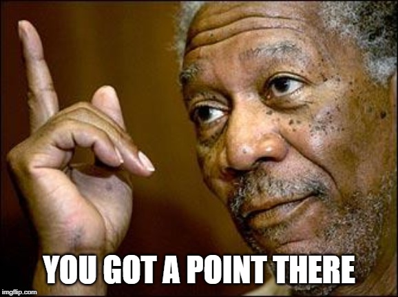 This Morgan Freeman | YOU GOT A POINT THERE | image tagged in this morgan freeman | made w/ Imgflip meme maker