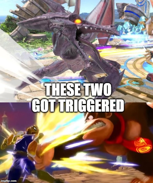 DK and ridley are both mad........about something. | THESE TWO GOT TRIGGERED | image tagged in ridley getting mad,dk vs captain falcon,super smash bros | made w/ Imgflip meme maker