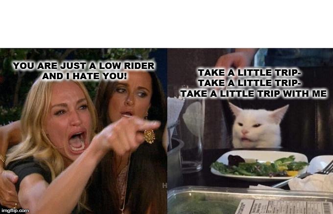 Woman Yelling At Cat | YOU ARE JUST A LOW RIDER 
          AND I HATE YOU! TAKE A LITTLE TRIP-
        TAKE A LITTLE TRIP-
  TAKE A LITTLE TRIP WITH ME | image tagged in memes,woman yelling at cat | made w/ Imgflip meme maker