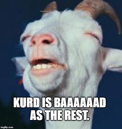 goat | KURD IS BAAAAAAD AS THE REST. | image tagged in goat | made w/ Imgflip meme maker