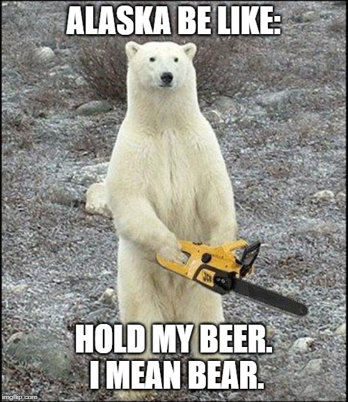 chainsaw polar bear | ALASKA BE LIKE: HOLD MY BEER.  I MEAN BEAR. | image tagged in chainsaw polar bear | made w/ Imgflip meme maker