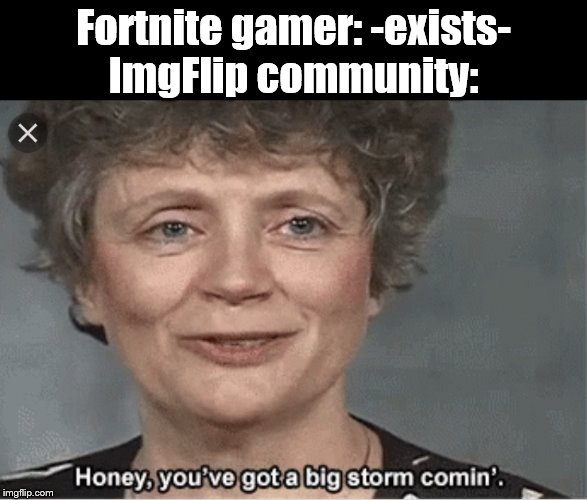 Honey, you got a big storm coming | Fortnite gamer: -exists-
ImgFlip community: | image tagged in honey you got a big storm coming,fortnite | made w/ Imgflip meme maker