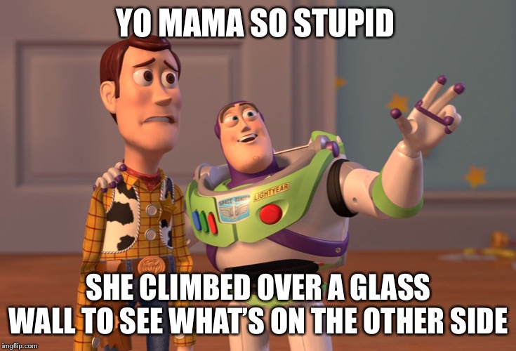 X, X Everywhere | YO MAMA SO STUPID; SHE CLIMBED OVER A GLASS WALL TO SEE WHAT’S ON THE OTHER SIDE | image tagged in memes,x x everywhere | made w/ Imgflip meme maker