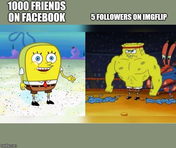 Increasingly Buff Spongebob | 1000 FRIENDS ON FACEBOOK 5 FOLLOWERS ON IMGFLIP | image tagged in increasingly buff spongebob | made w/ Imgflip meme maker