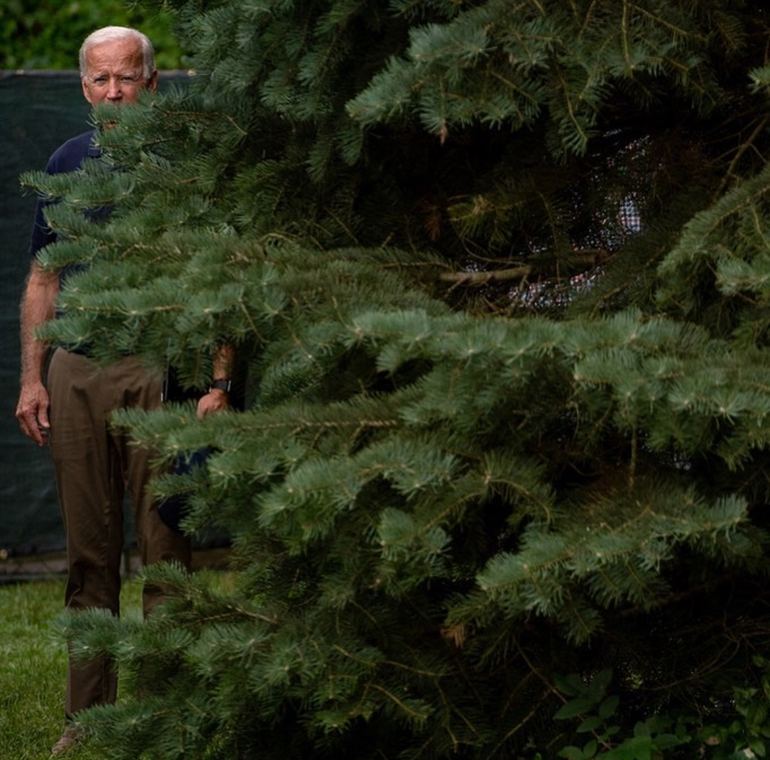 High Quality Joe Biden Blank Meme Template