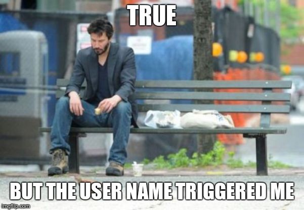 Sad Keanu Meme | TRUE BUT THE USER NAME TRIGGERED ME | image tagged in memes,sad keanu | made w/ Imgflip meme maker