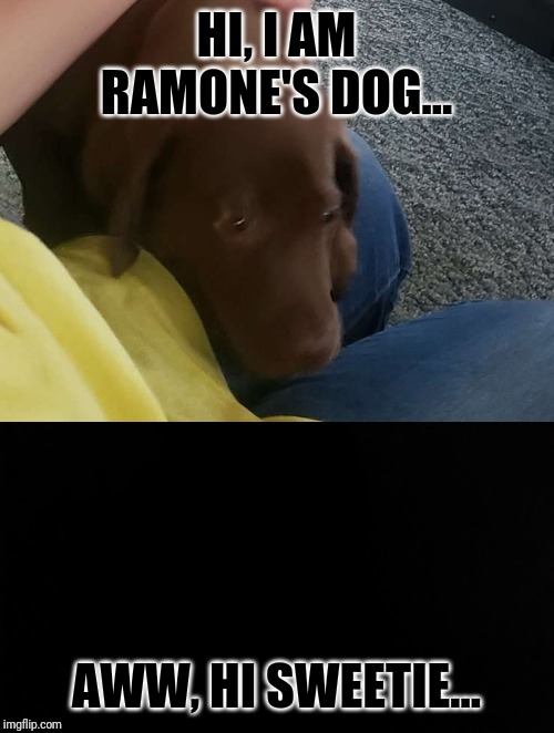  HI, I AM RAMONE'S DOG... AWW, HI SWEETIE... | image tagged in ramone_heights,happy dog | made w/ Imgflip meme maker