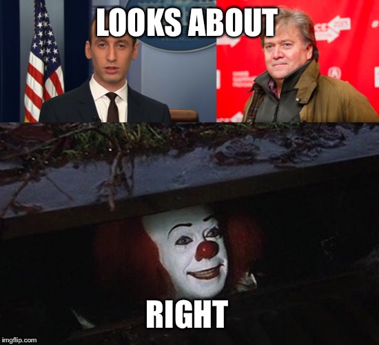 LOOKS ABOUT; RIGHT | image tagged in steve bannon,pennywise hey kid,stephen miller | made w/ Imgflip meme maker