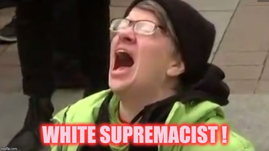 Screaming Liberal  | WHITE SUPREMACIST ! | image tagged in screaming liberal | made w/ Imgflip meme maker