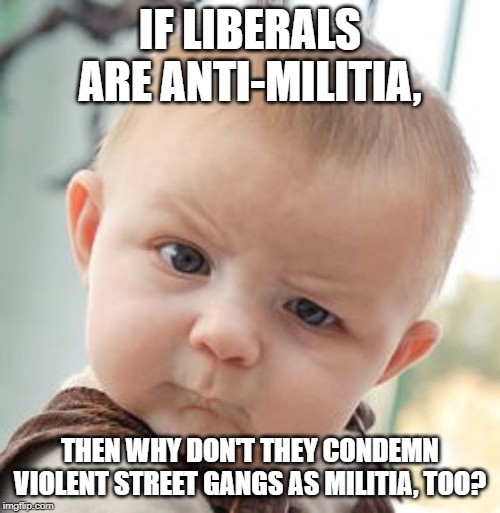 Skeptical Baby Meme | IF LIBERALS ARE ANTI-MILITIA, THEN WHY DON'T THEY CONDEMN VIOLENT STREET GANGS AS MILITIA, TOO? | image tagged in memes,skeptical baby | made w/ Imgflip meme maker