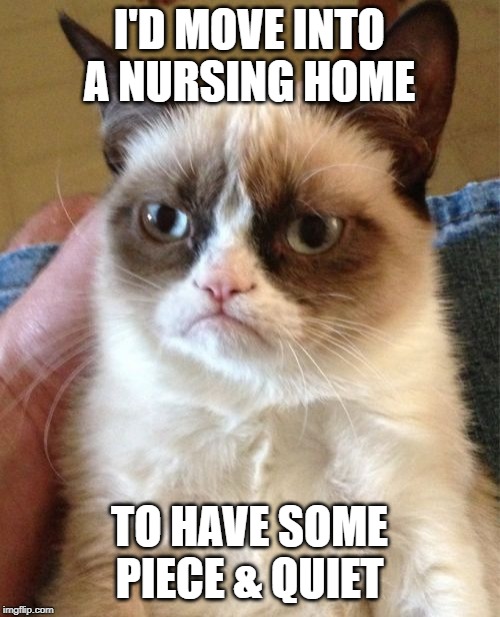 Grumpy Cat Meme | I'D MOVE INTO A NURSING HOME TO HAVE SOME PIECE & QUIET | image tagged in memes,grumpy cat | made w/ Imgflip meme maker