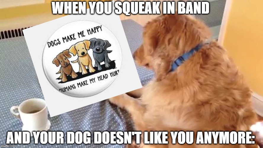 WHEN YOU SQUEAK IN BAND; AND YOUR DOG DOESN'T LIKE YOU ANYMORE: | image tagged in dogs | made w/ Imgflip meme maker