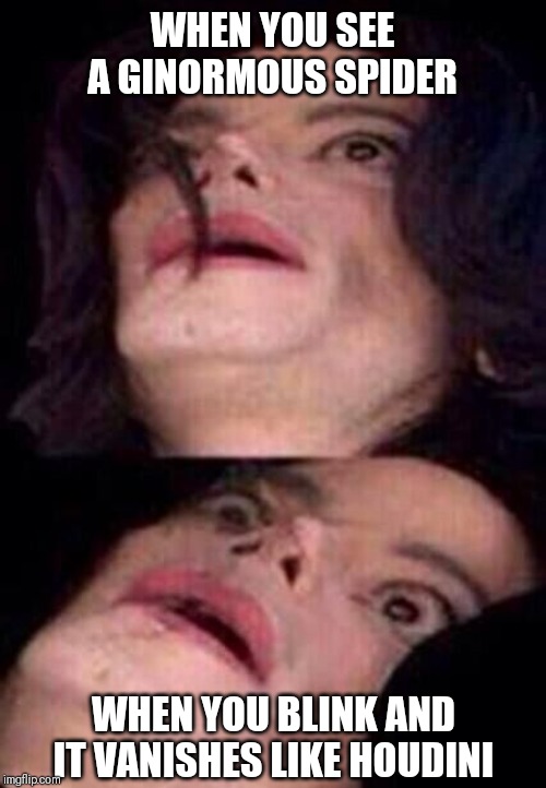 Michael Jackson Shock | WHEN YOU SEE A GINORMOUS SPIDER; WHEN YOU BLINK AND IT VANISHES LIKE HOUDINI | image tagged in michael jackson shock | made w/ Imgflip meme maker