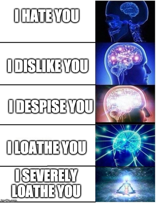 Expanding Brain 5 Panel | I HATE YOU I SEVERELY LOATHE YOU I DESPISE YOU I DISLIKE YOU I LOATHE YOU | image tagged in expanding brain 5 panel | made w/ Imgflip meme maker