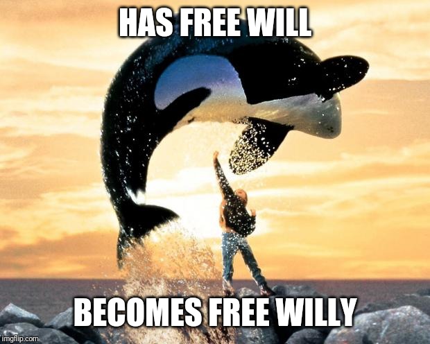 HAS FREE WILL BECOMES FREE WILLY | image tagged in free willy | made w/ Imgflip meme maker