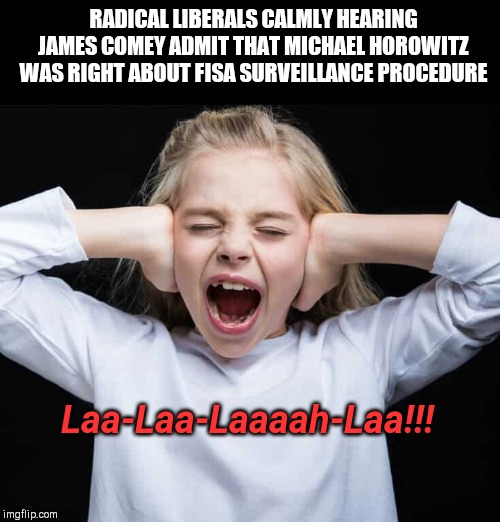 Taking it like a boss snowflake | RADICAL LIBERALS CALMLY HEARING JAMES COMEY ADMIT THAT MICHAEL HOROWITZ WAS RIGHT ABOUT FISA SURVEILLANCE PROCEDURE; Laa-Laa-Laaaah-Laa!!! | image tagged in cover ears not listening,james comey,justice departments inspector general michael horowitz,trump haters,liberals,not listening | made w/ Imgflip meme maker