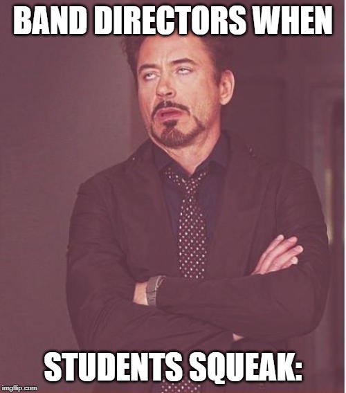 Face You Make Robert Downey Jr | BAND DIRECTORS WHEN; STUDENTS SQUEAK: | image tagged in memes,face you make robert downey jr | made w/ Imgflip meme maker