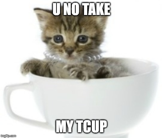 Tea cup cat | U NO TAKE; MY TCUP | image tagged in tea cup cat | made w/ Imgflip meme maker