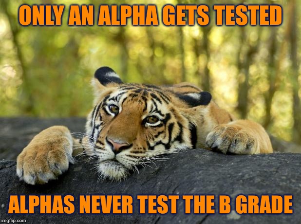 You Can Learn A Lot From Nature Shows. The B’s Give Up Quickly if the Alpha Just Stays There. | ONLY AN ALPHA GETS TESTED; ALPHAS NEVER TEST THE B GRADE | image tagged in confession tiger | made w/ Imgflip meme maker