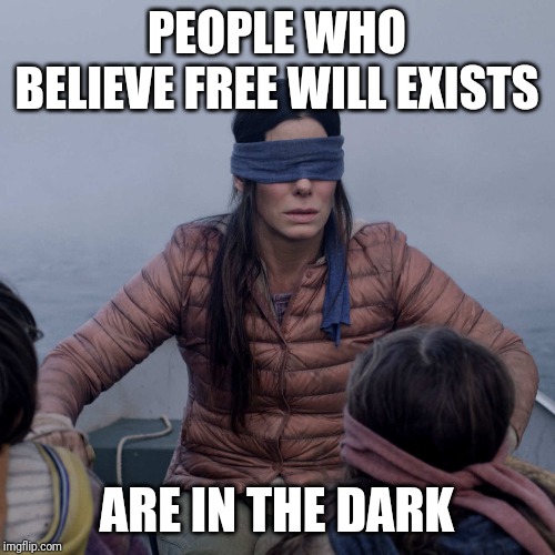 Bird Box Meme | PEOPLE WHO BELIEVE FREE WILL EXISTS; ARE IN THE DARK | image tagged in memes,bird box,free will | made w/ Imgflip meme maker