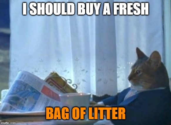 I Should Buy A Boat Cat | I SHOULD BUY A FRESH; BAG OF LITTER | image tagged in memes,i should buy a boat cat | made w/ Imgflip meme maker