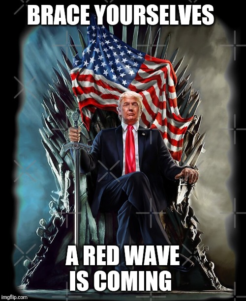 Red wave | BRACE YOURSELVES; A RED WAVE IS COMING | image tagged in donald trump | made w/ Imgflip meme maker