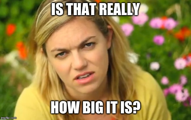 IS THAT REALLY; HOW BIG IT IS? | made w/ Imgflip meme maker