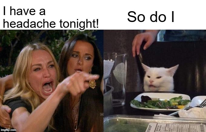Woman Yelling At Cat Meme | I have a headache tonight! So do I | image tagged in memes,woman yelling at cat | made w/ Imgflip meme maker