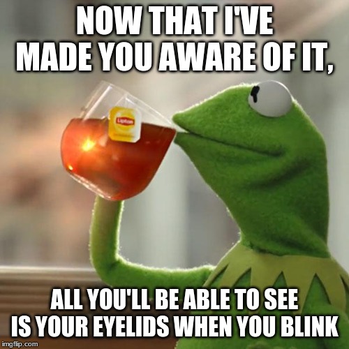 Just saaaayin' | NOW THAT I'VE MADE YOU AWARE OF IT, ALL YOU'LL BE ABLE TO SEE IS YOUR EYELIDS WHEN YOU BLINK | image tagged in memes,but thats none of my business,kermit the frog | made w/ Imgflip meme maker