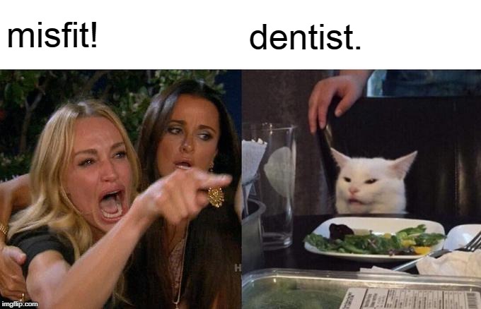 Woman Yelling At Cat Meme | misfit! dentist. | image tagged in memes,woman yelling at cat | made w/ Imgflip meme maker