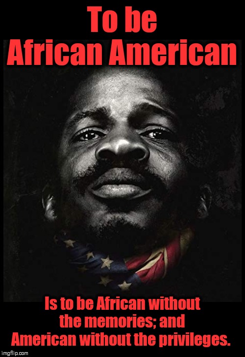 To be African American; Is to be African without the memories; and American without the privileges. | image tagged in birth of a nation,social justice,income inequality | made w/ Imgflip meme maker